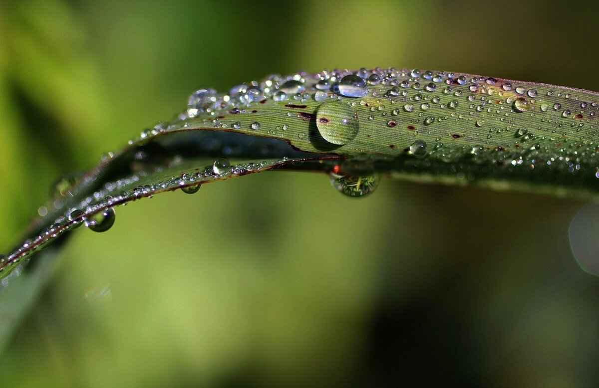 How Do Rain Sensing Windshield Wipers Work?