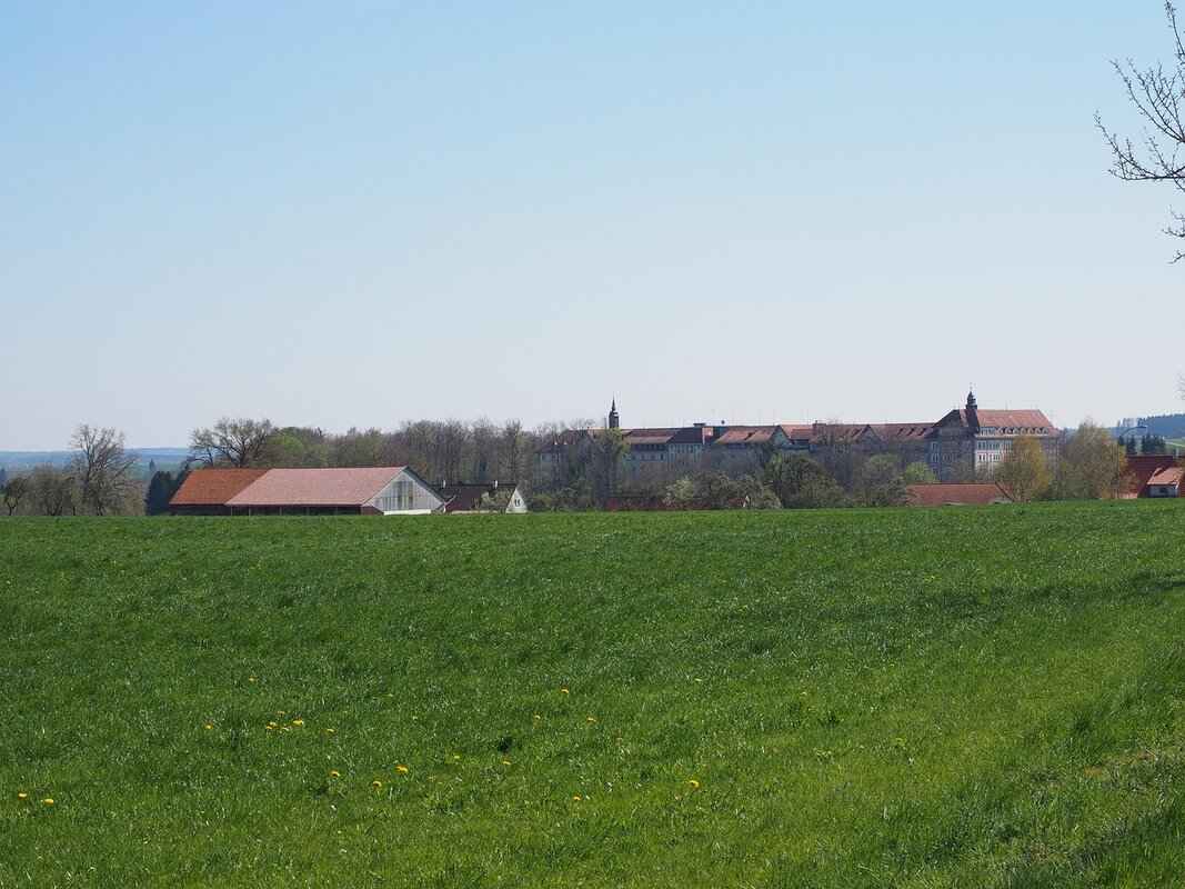 Biography & Background