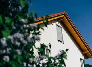 Renters Insurance with Dog Bite Coverage – How to Protect Yourself Renters Insurance with Dog Bite Coverage – How to Protect Yourself