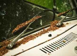 Replacing Windshield Wipers: When to DIY vs. Get Professional Help Replacing Windshield Wipers: When to DIY vs. Get Professional Help