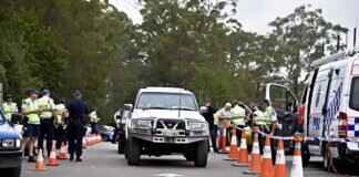 Rescue Knights: Paw Patrol’s Medieval-Themed Adventures Explained Rescue Knights: Paw Patrol’s Medieval-Themed Adventures Explained