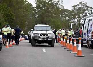 Rescue Knights: Paw Patrol’s Medieval-Themed Adventures Explained Rescue Knights: Paw Patrol’s Medieval-Themed Adventures Explained