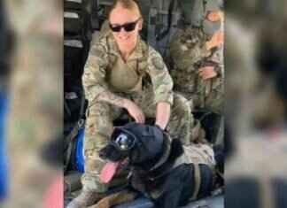 Reunited Soldier and K9: Heartwarming Video Story reunited-soldier-and-k9-heartwarming-video-story