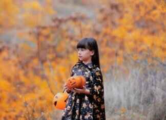 Rocky’s Best Recycling Lessons: Teaching Kids Sustainability with Paw Patrol Rocky’s Best Recycling Lessons: Teaching Kids Sustainability with Paw Patrol