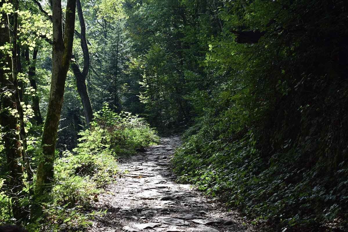 Who is Roman Gabriel?