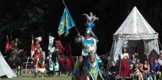 Roserade Pokémon Battle Tactics, Best Items, and Counters in Pokémon Games Roserade Pokémon Battle Tactics, Best Items, and Counters in Pokémon Games