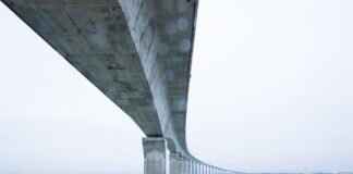 Rubble on the Double! Why Kids Love This Construction Pup Rubble on the Double! Why Kids Love This Construction Pup