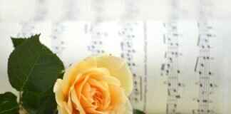 Rubi Rose – Rubi Rose: How She Built an Empire Beyond Music & OnlyFans & OnlyFans Leaks Rubi Rose – Rubi Rose: How She Built an Empire Beyond Music & OnlyFans & OnlyFans Leaks