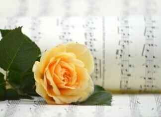 Rubi Rose – Rubi Rose: How She Built an Empire Beyond Music & OnlyFans & OnlyFans Leaks Rubi Rose – Rubi Rose: How She Built an Empire Beyond Music & OnlyFans & OnlyFans Leaks