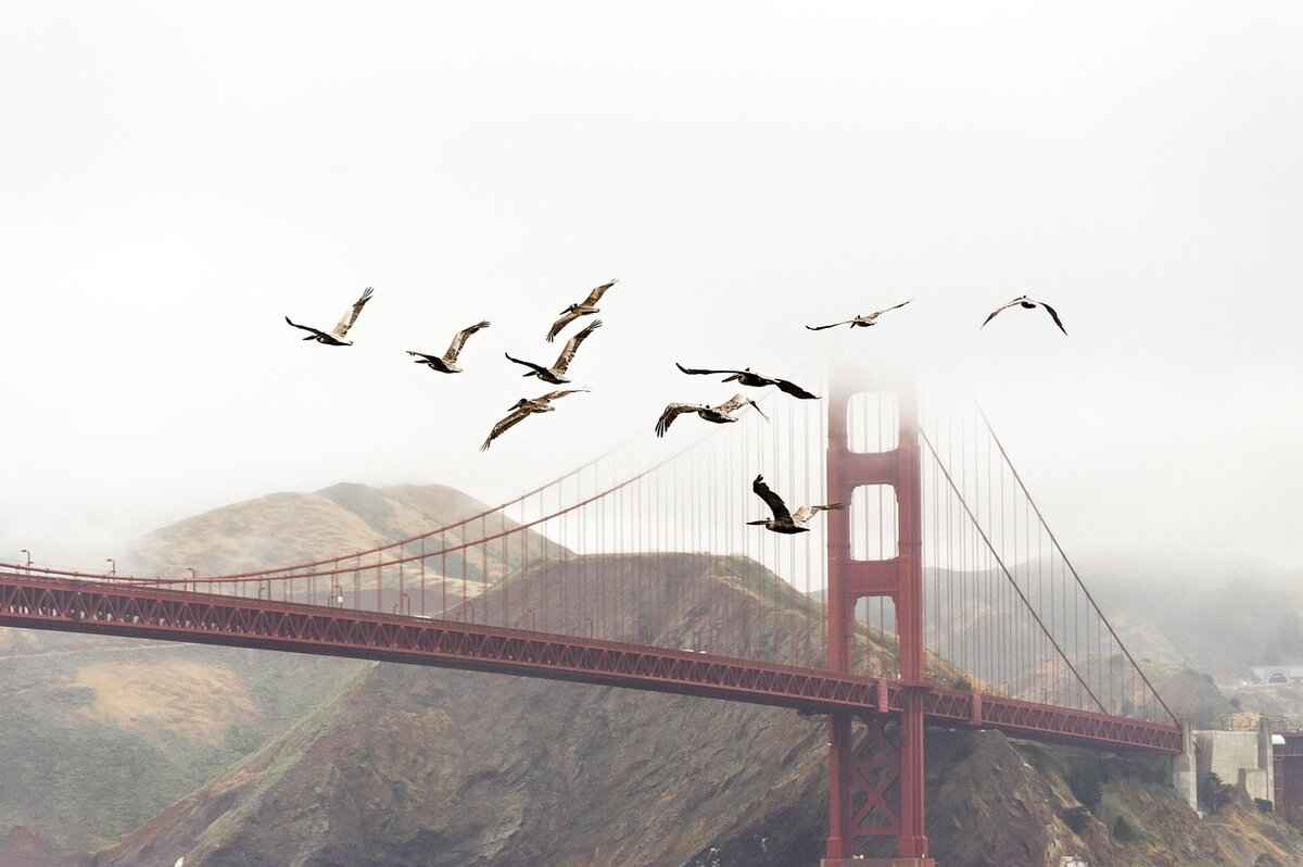 Rule of 15 in Bridge: The Simple Strategy to Win More Games 5 Enhancing Your Game with the Rule of 15