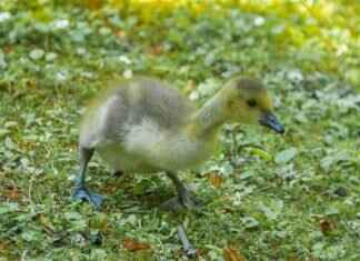 Ryan Gosling and Emma Stone Film: A Look at Their Best On-Screen Moments Ryan Gosling and Emma Stone Film: A Look at Their Best On-Screen Moments