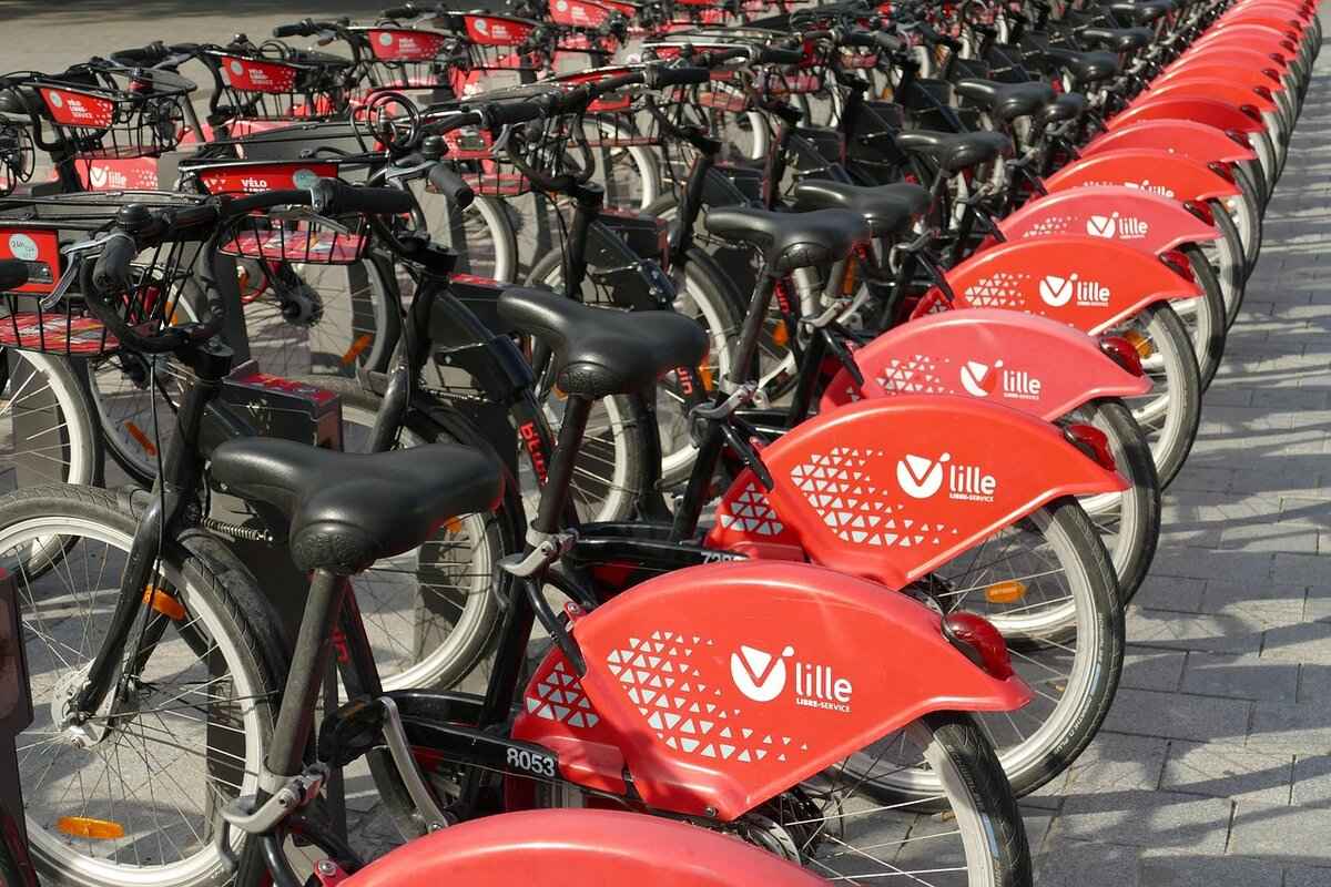 Business Ventures & Future Plans