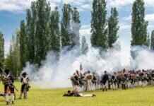 Sandy Shocks Pokémon: Best Moveset, Battle Tactics, and Competitive Strategy Sandy Shocks Pokémon: Best Moveset, Battle Tactics, and Competitive Strategy