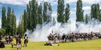 Sandy Shocks Pokémon: Best Moveset, Battle Tactics, and Competitive Strategy Sandy Shocks Pokémon: Best Moveset, Battle Tactics, and Competitive Strategy