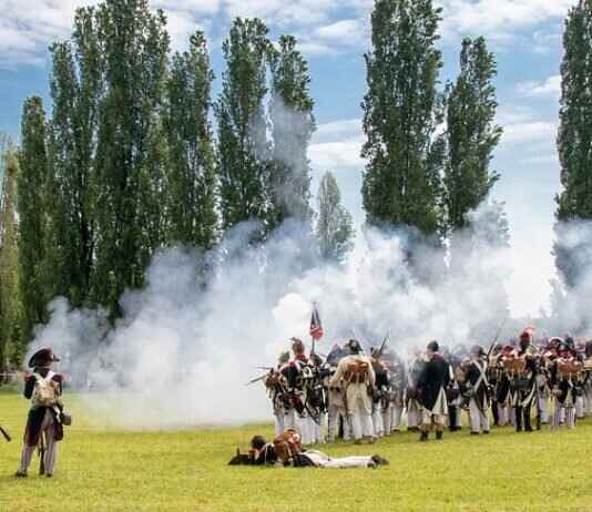 Sandy Shocks Pokémon: Best Moveset, Battle Tactics, and Competitive Strategy Sandy Shocks Pokémon: Best Moveset, Battle Tactics, and Competitive Strategy