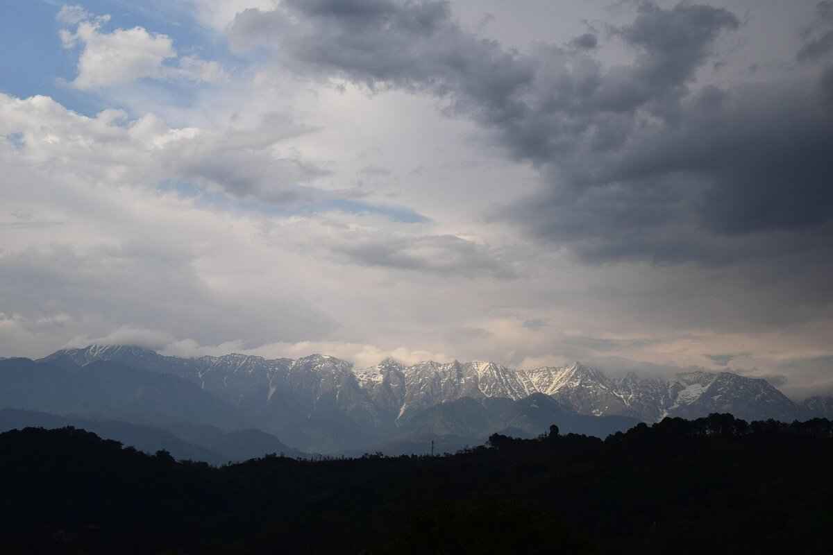 Government Assistance and Resources