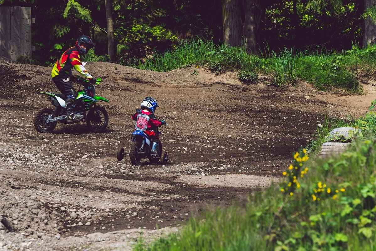 Sceptile Pokémon Evolution, Abilities, Moves, and How to Train It for Competitive Play 4 Training Strategies for Sceptile