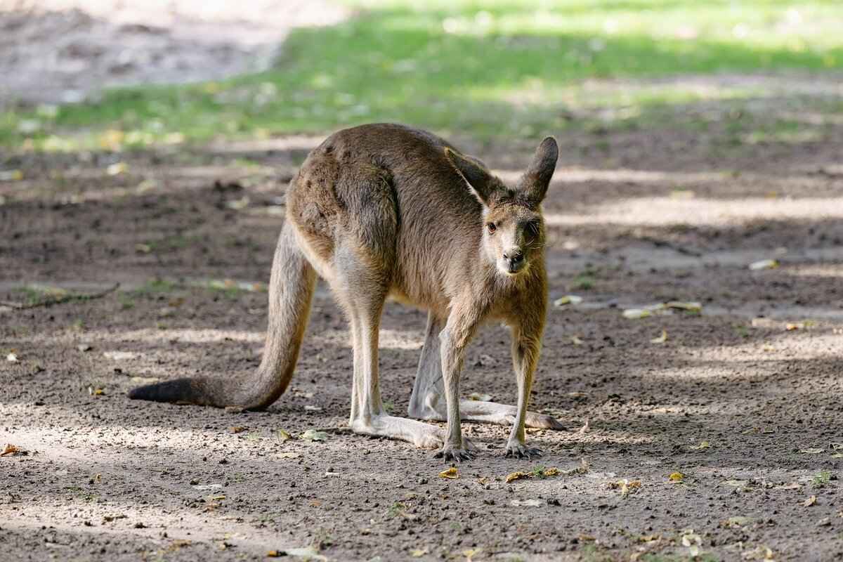 Battle Tactics to Dominate Opponents