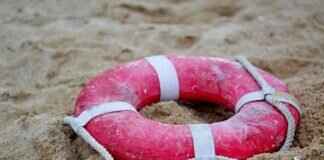 Sea Patrol: The Best Ocean Rescues from Paw Patrol Sea Patrol: The Best Ocean Rescues from Paw Patrol