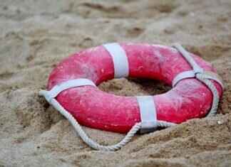 Sea Patrol: The Best Ocean Rescues from Paw Patrol Sea Patrol: The Best Ocean Rescues from Paw Patrol