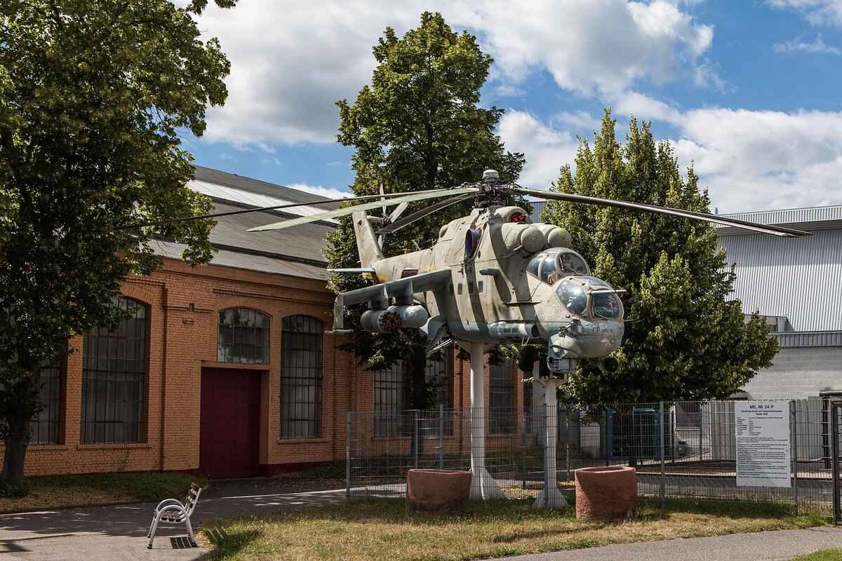 Sealeo Pokémon Evolution, Abilities, Moves, and How to Train It for Competitive Play 3 Abilities of Sealeo: What Makes It Unique?