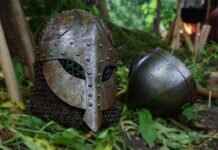 Servine Pokémon Competitive Guide: Best Abilities, Moves, and Battle Combos Servine Pokémon Competitive Guide: Best Abilities, Moves, and Battle Combos