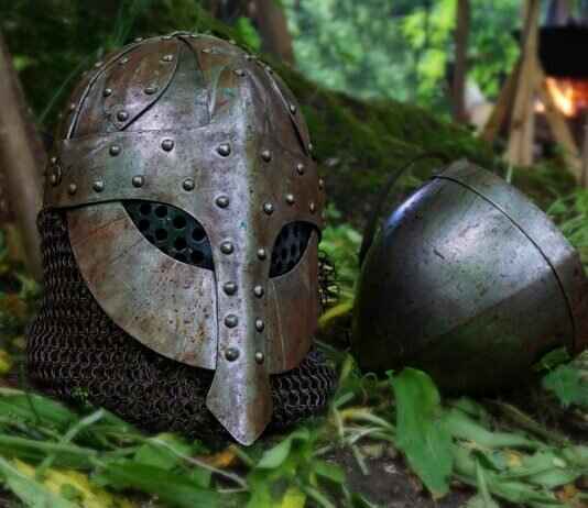 Servine Pokémon Competitive Guide: Best Abilities, Moves, and Battle Combos Servine Pokémon Competitive Guide: Best Abilities, Moves, and Battle Combos