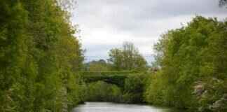 Shannon Swanick TPO: Everything You Need to Know Shannon Swanick TPO: Everything You Need to Know