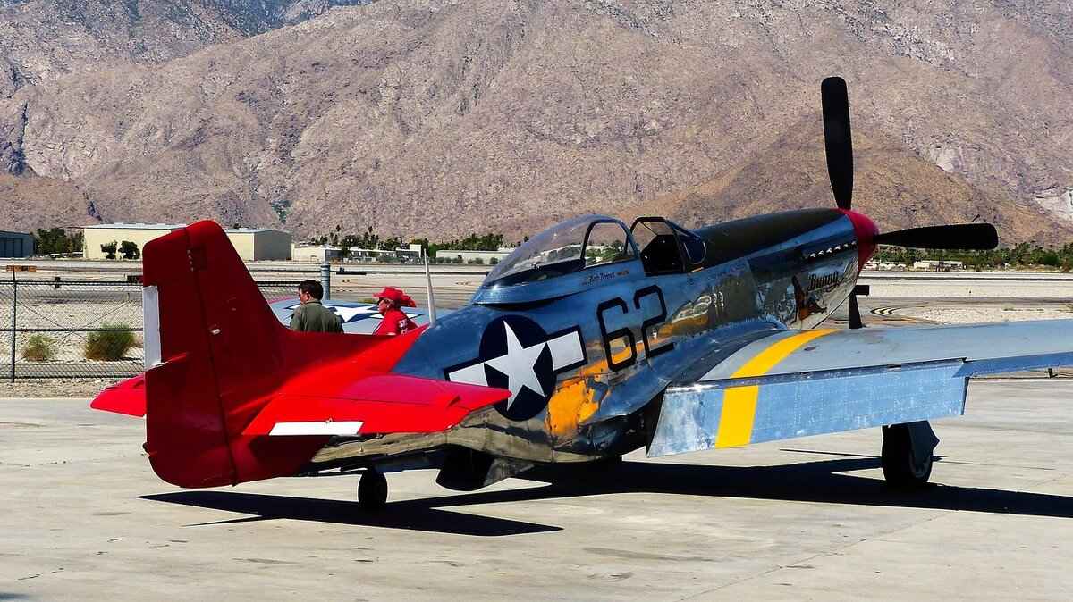 Effective Battle Strategies for Using Shellos