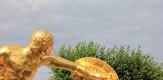 Shiinotic Pokémon: Best Moveset, Battle Tactics, and Competitive Guide Shiinotic Pokémon: Best Moveset, Battle Tactics, and Competitive Guide