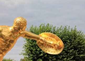 Shiinotic Pokémon: Best Moveset, Battle Tactics, and Competitive Guide Shiinotic Pokémon: Best Moveset, Battle Tactics, and Competitive Guide