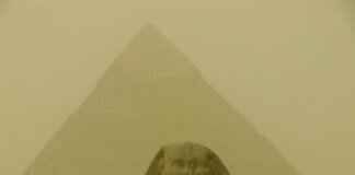 Shinx Pokémon Best Moves, Strengths, and Competitive Battle Guide Shinx Pokémon Best Moves, Strengths, and Competitive Battle Guide