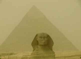 Shinx Pokémon Best Moves, Strengths, and Competitive Battle Guide Shinx Pokémon Best Moves, Strengths, and Competitive Battle Guide