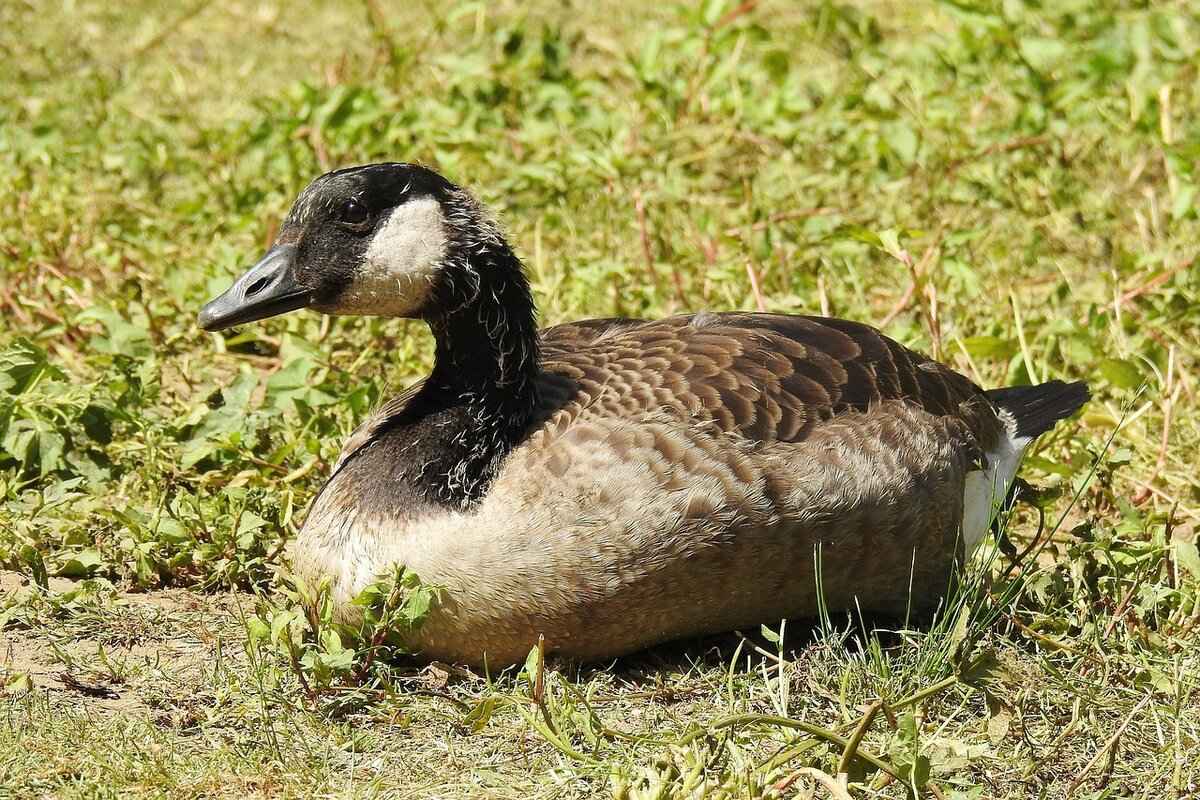 What Are the Future Trends in Celebrity Gossip?