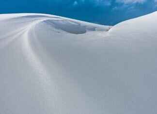 Showbizztoday.com Celebrity Gossip: Latest News & Rumors Showbizztoday.com Celebrity Gossip: Latest News & Rumors