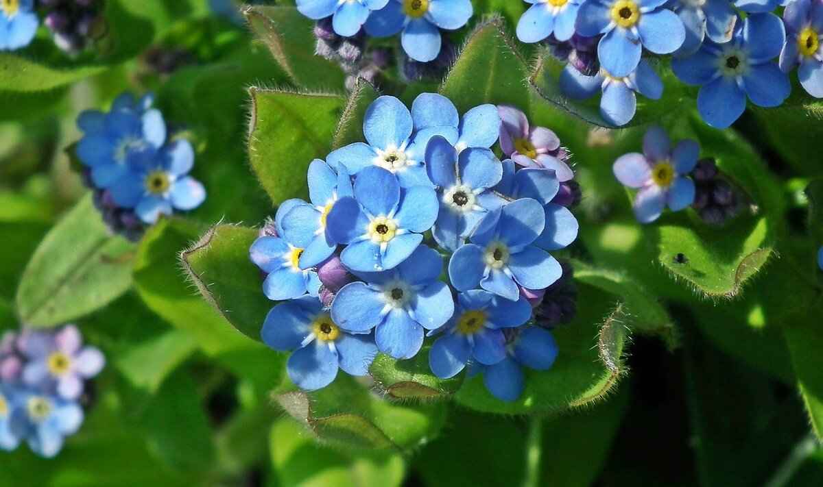 Skylar Mae 💋 (@skylarmaexo) – Skylar Mae: How She Built a Massive OnlyFans Empire & OnlyFans Leaks 2 Early Life and Career Beginnings