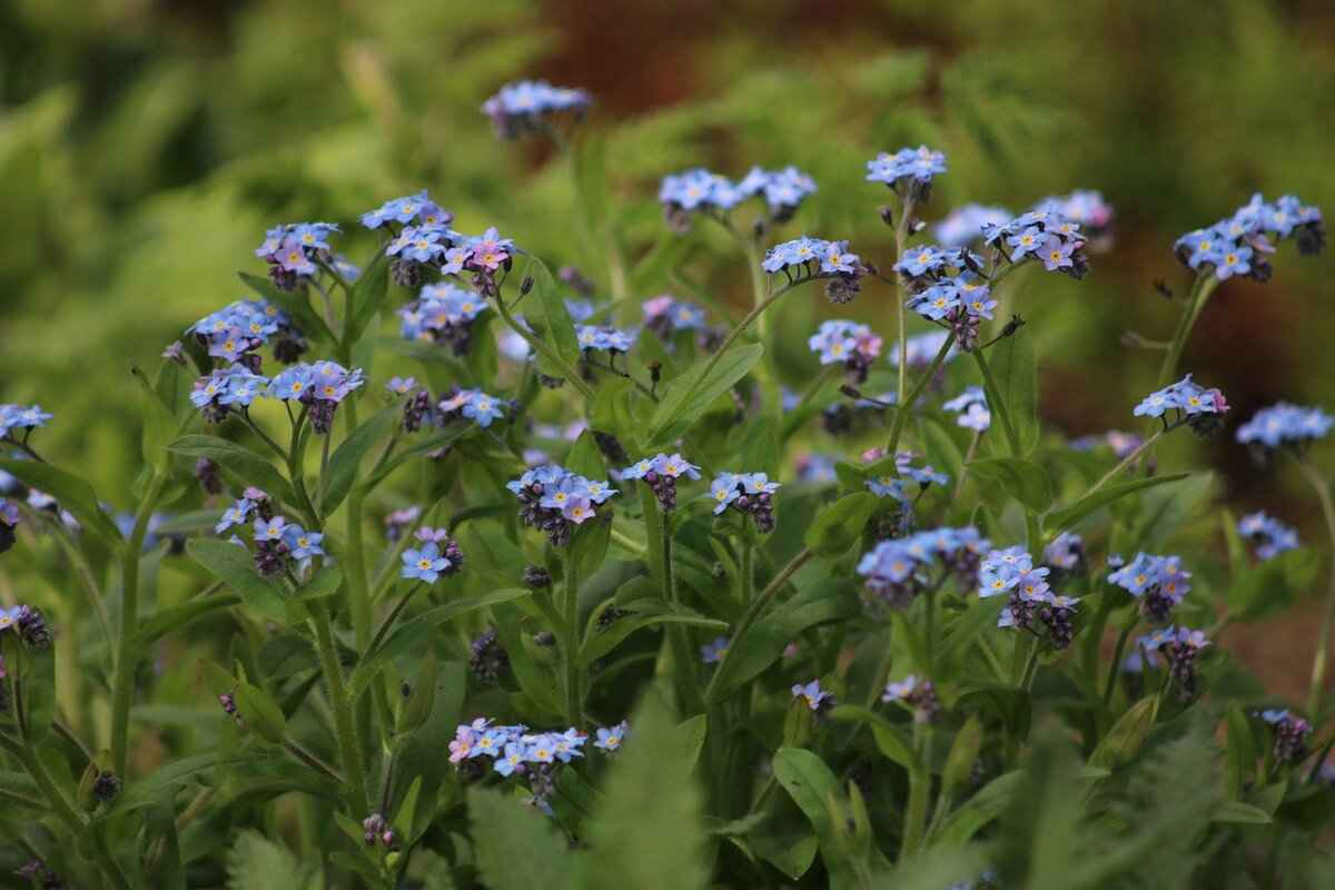 Skylar Mae 💋 (@skylarmaexo) – Skylar Mae: How She Built a Massive OnlyFans Empire & OnlyFans Leaks 9 Conclusion