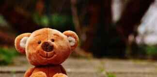 Sleepy Bear: The Best Plush Toys and Sleep Aids for Kids Sleepy Bear: The Best Plush Toys and Sleep Aids for Kids