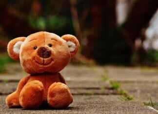 Sleepy Bear: The Best Plush Toys and Sleep Aids for Kids Sleepy Bear: The Best Plush Toys and Sleep Aids for Kids