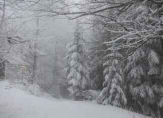 Snowed In Candle: Cozy Scents and the Best Winter Candles Reviewed Snowed In Candle: Cozy Scents and the Best Winter Candles Reviewed