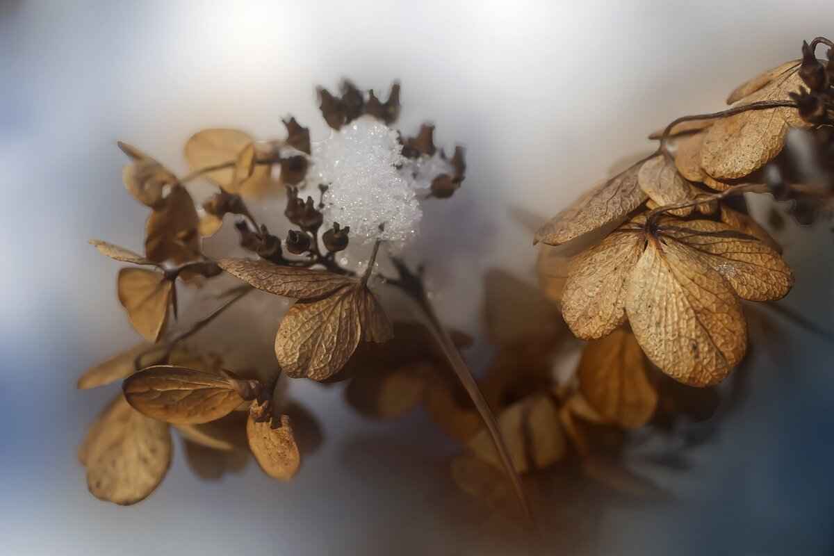 Snowed In Candle: Cozy Scents and the Best Winter Candles Reviewed 3 Benefits of Using Winter Candles