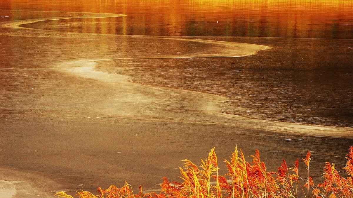 Sobble Pokémon: Evolution, Best Moveset, and Battle Strategies 1 What is Sobble?