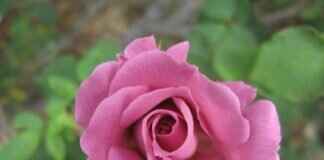 Some Heirs Cash Sources Crossword: Clues, Answers, and Expert Tips Some Heirs Cash Sources Crossword: Clues, Answers, and Expert Tips