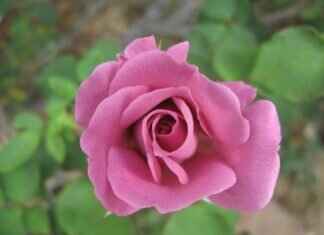 Some Heirs Cash Sources Crossword: Clues, Answers, and Expert Tips Some Heirs Cash Sources Crossword: Clues, Answers, and Expert Tips