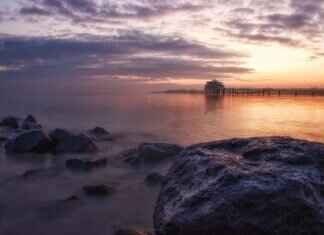 Spiderman Emma Stone: Why Her Portrayal of Gwen Stacy is Unforgettable Spiderman Emma Stone: Why Her Portrayal of Gwen Stacy is Unforgettable