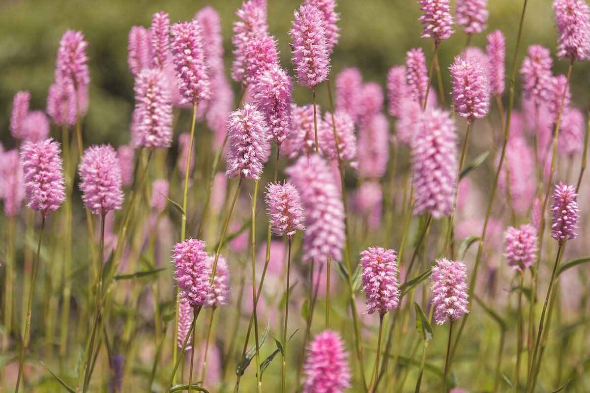 How to Accessorize Spring Night Dresses?