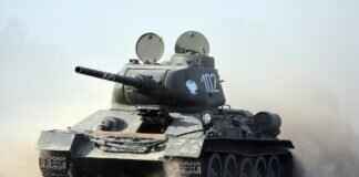 Squawkabilly Pokémon: Evolution, Best Moveset, and Competitive Strategy Squawkabilly Pokémon: Evolution, Best Moveset, and Competitive Strategy