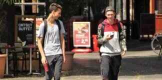 Squirtle Pokémon Attack Power, Special Abilities, and How to Build the Best Team Squirtle Pokémon Attack Power, Special Abilities, and How to Build the Best Team