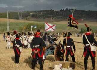 Stakataka Pokémon: Battle Tactics, Best Moveset, and How to Use It in Competitive Play Stakataka Pokémon: Battle Tactics, Best Moveset, and How to Use It in Competitive Play