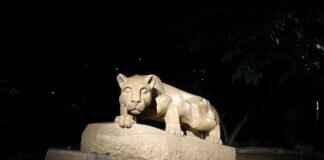 StateKaidz.com: What It Offers and Why It’s Gaining Attention StateKaidz.com: What It Offers and Why It’s Gaining Attention